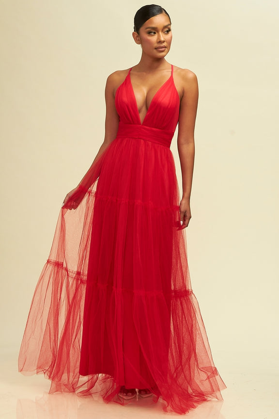 Isabella Mesh Gown