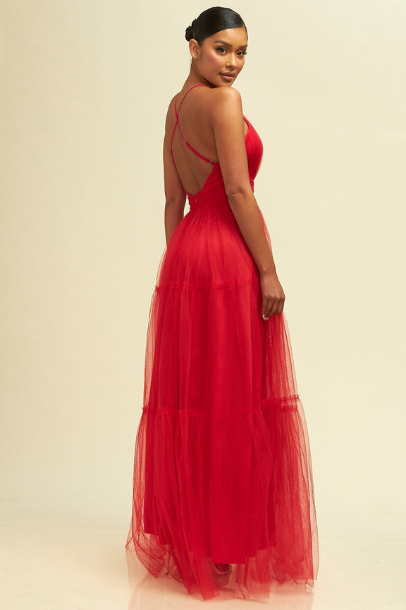 Isabella Mesh Gown