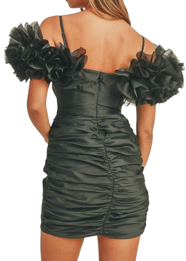 Ruffle and Puff sleeve Dress