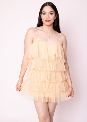 Philly Tulle Mesh Dress