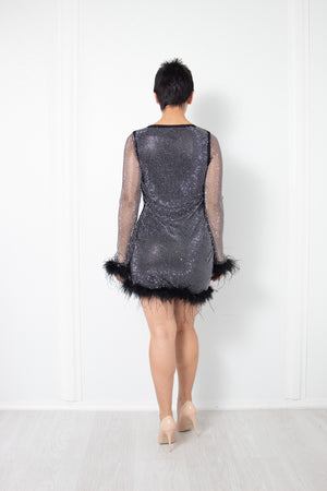 Rhinestone and Feather Mesh Dress