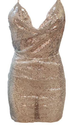 Terra sequin Mini Dress