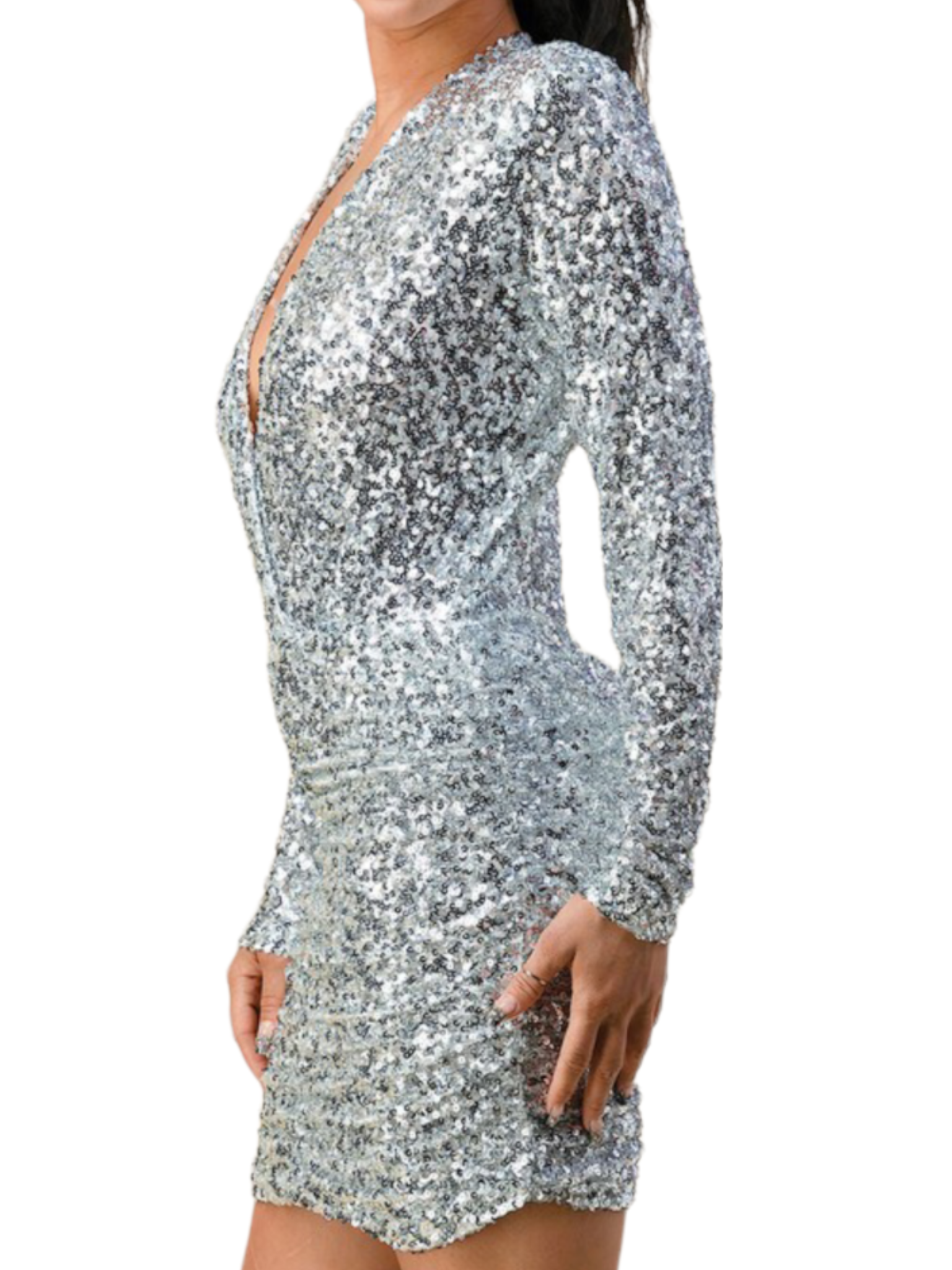 Sully Silver sequin Dress