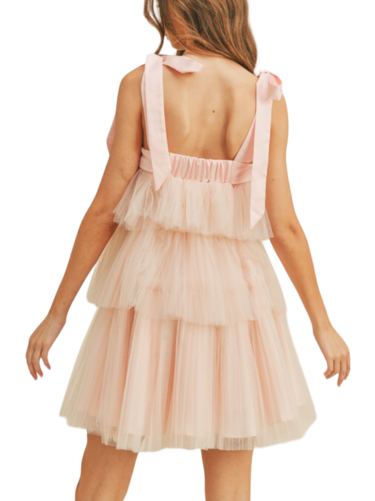 Maggie Tulle Mesh Mini Dress