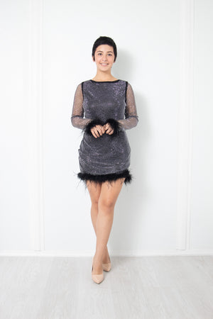 Rhinestone and Feather Mesh Dress