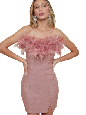 Feather Mini Dress